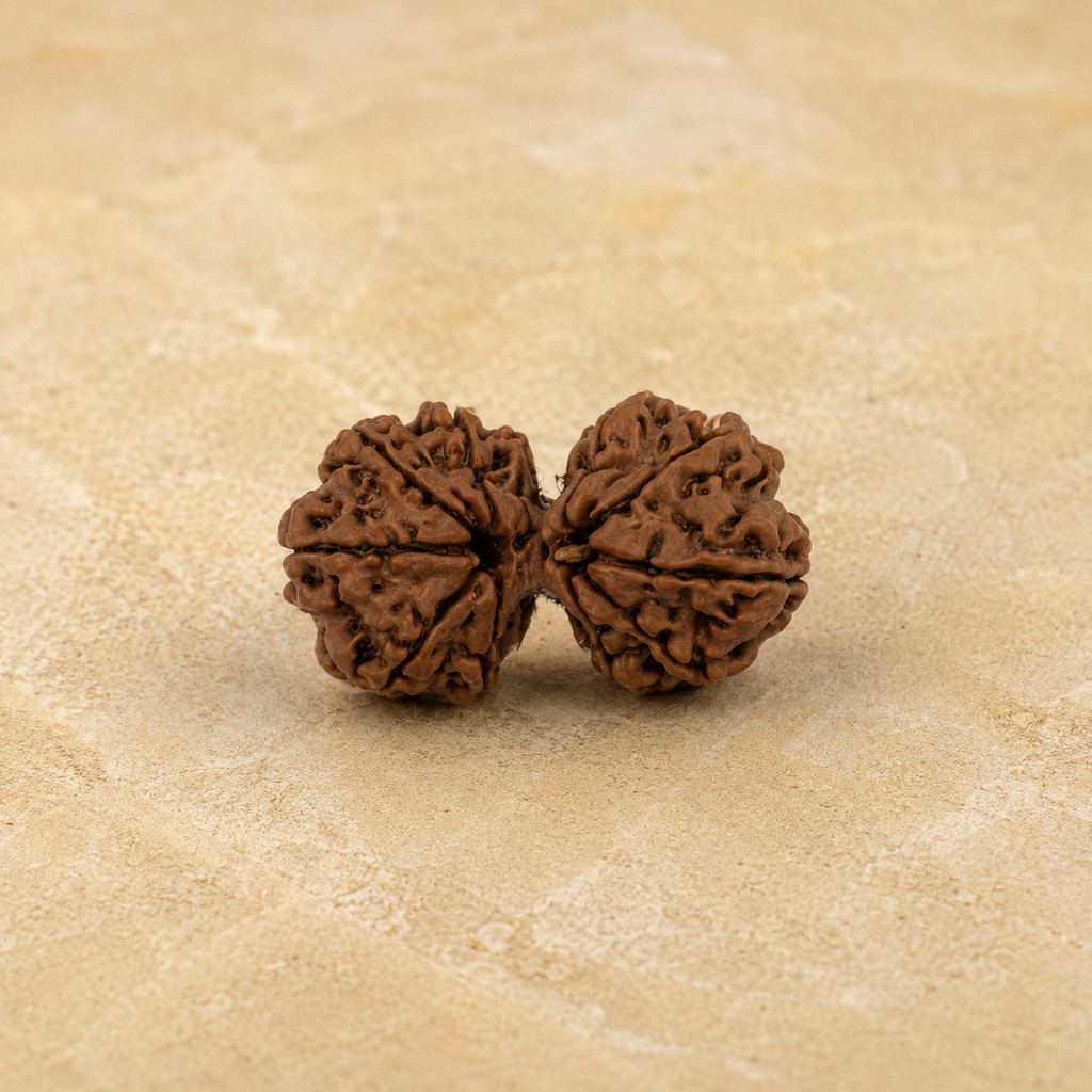 Gauri Shankar Rudraksha - Image 1