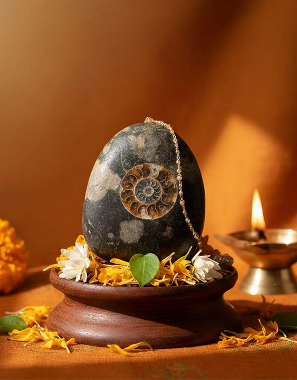 Shree Shaligram - Image 1